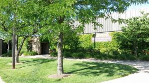 10525894_10203381597593395_8041438535727013678_n